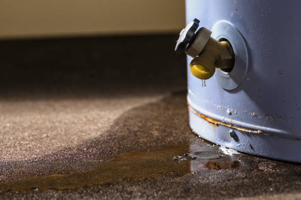 Best Flood restoration services  in West Dennis, MA