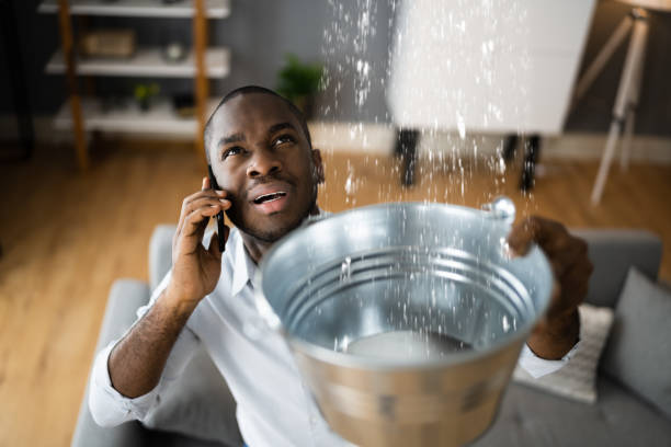 Best Water damage contractors near me  in West Dennis, MA