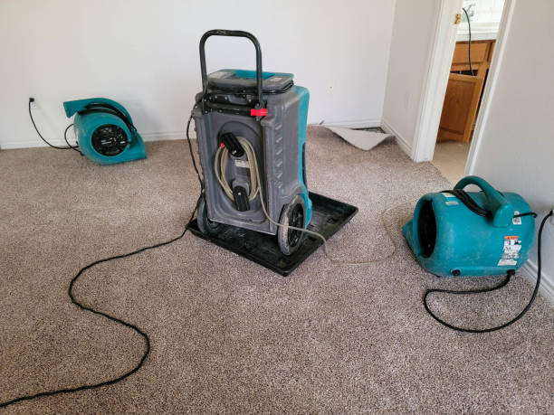 Best Emergency water damage restoration  in West Dennis, MA
