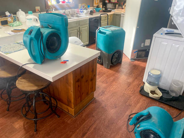 Best 24/7 water damage repair  in West Dennis, MA