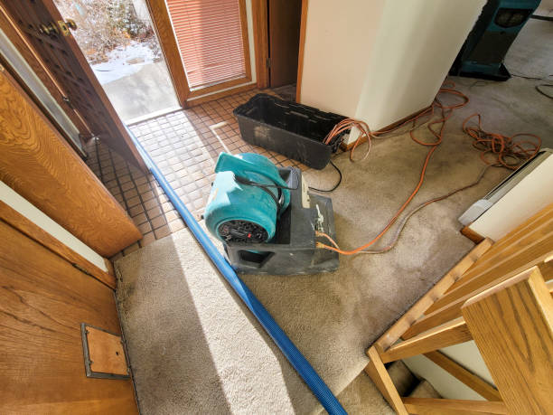  West Dennis, MA Water damage restoration Pros