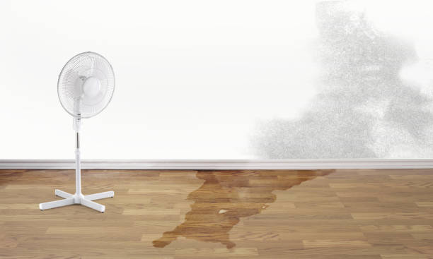 Best 24-hour water damage restoration  in West Dennis, MA