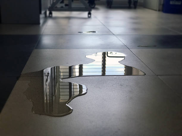 Sewage cleanup and water damage restoration in MA