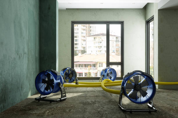 Best Water damage restoration near me  in West Dennis, MA